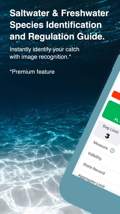 fishverify|FishVerify: ID & Regulations .